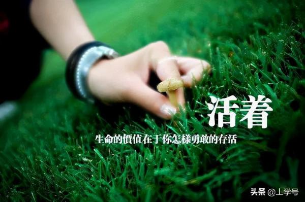 家庭教育的重心應該是培養孩子的這三種能力 家庭教育的重心應該是培養孩子的這三種能力
