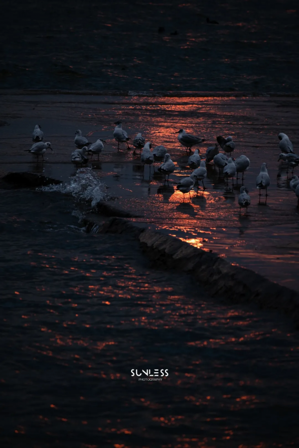 雲南西北,一個可以抵達的理想國 雲南西北,一個可以抵達的理想國