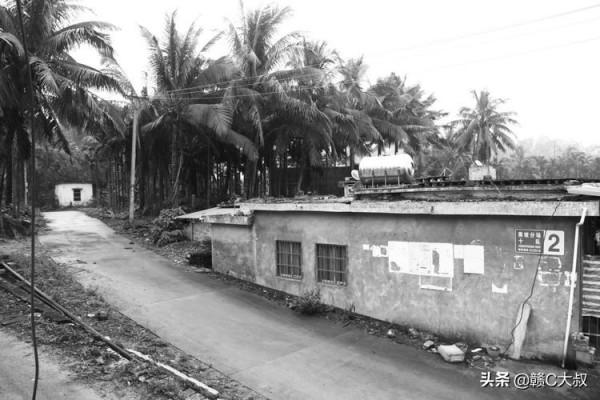 40年的記憶——海南國營乘坡農場行