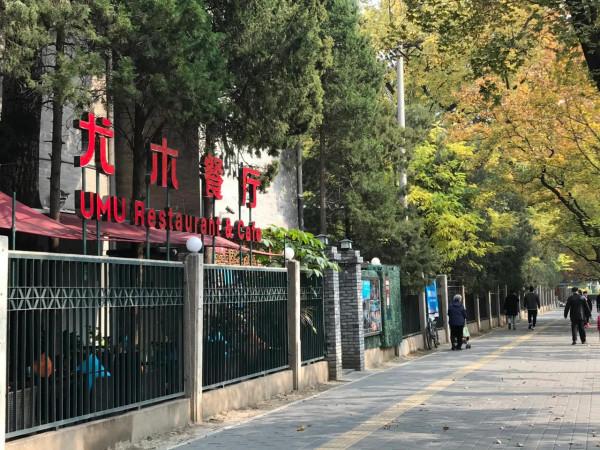 日壇路—日壇公園—芳草地小學 日壇路—日壇公園—芳草地小學