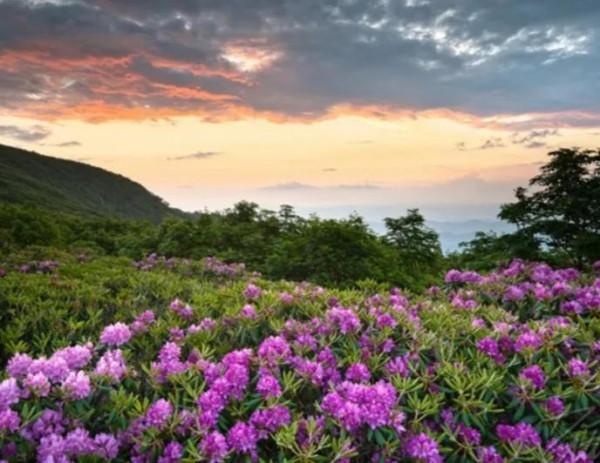 涵養,來自於你的文靜,而不是來自於你的脾氣 涵養,來自於你的文靜,而不是來自於你的脾氣
