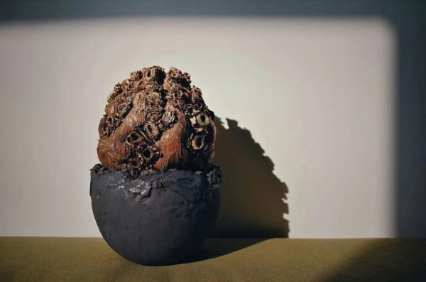 塊根｜在水泥世界中綻放的生命花火