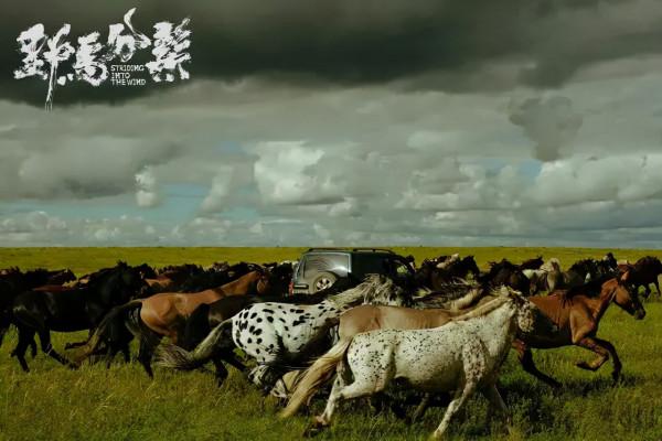 11月電影院大咖雲集：白百何復出、範偉張涵予抗日，這7部必須看