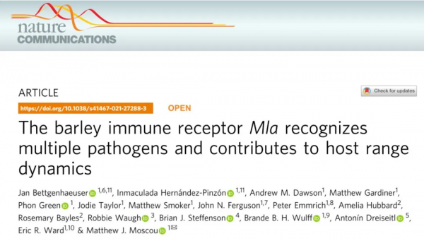 Nature Comm | 大麥免疫受體Mla,在宿主特異性識別中發揮重要功能 Nature Comm | 大麥免疫受體Mla,在宿主特異性識別中發揮重要功能