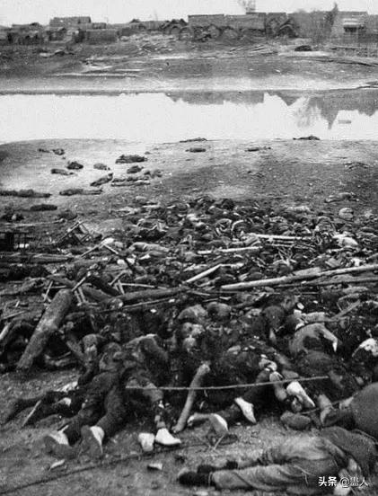 南京大屠殺親歷錄：國人淪為魚肉，男被殺女被欺，任日本獸兵宰割