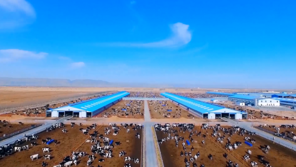 邵根夥博士：致敬中國聖牧，致敬創造的力量