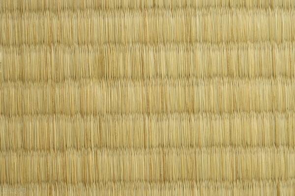 在雲南野外生存探險,遇到什麼動物恐怕凶多吉少? 在雲南野外生存探險,遇到什麼動物恐怕凶多吉少?