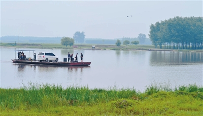 又見魚鳥共生 那條熟悉的遼河回來了 又見魚鳥共生 那條熟悉的遼河回來了