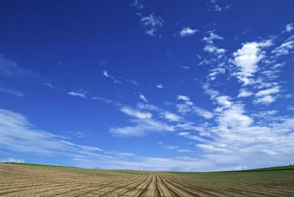 選擇葬在外國的5位明星，各有各的苦衷，最小的僅26歲