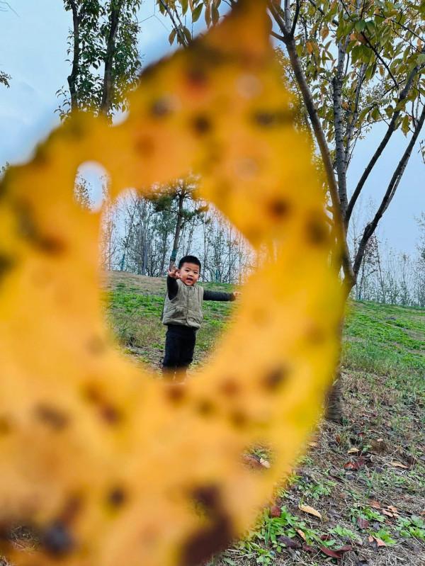週末帶著孩子們一起尋找秋天 週末帶著孩子們一起尋找秋天