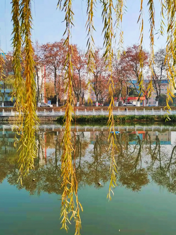 楚王（11）楚熊延：楚國第十一任君主，發動政變，弒兄代立為君