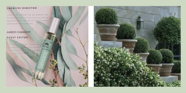 讓法國女人甘拜下風的氣質,都在這瓶寶藏香水!連貝嫂都狂打call 讓法國女人甘拜下風的氣質,都在這瓶寶藏香水!連貝嫂都狂打call