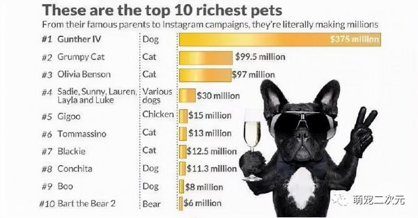 “貓女郎”泰勒斯威夫特