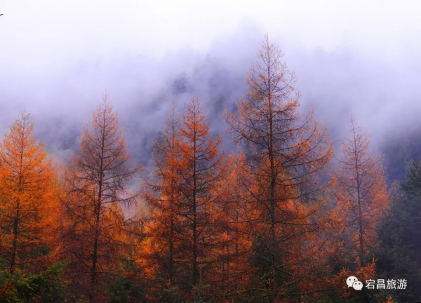 【最新美圖】此生不去澤蕩湖,逢人莫說賞秋色 【最新美圖】此生不去澤蕩湖,逢人莫說賞秋色