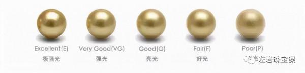 冬日提升氣質必備!南洋金珠到底是什麼來頭? 冬日提升氣質必備!南洋金珠到底是什麼來頭?