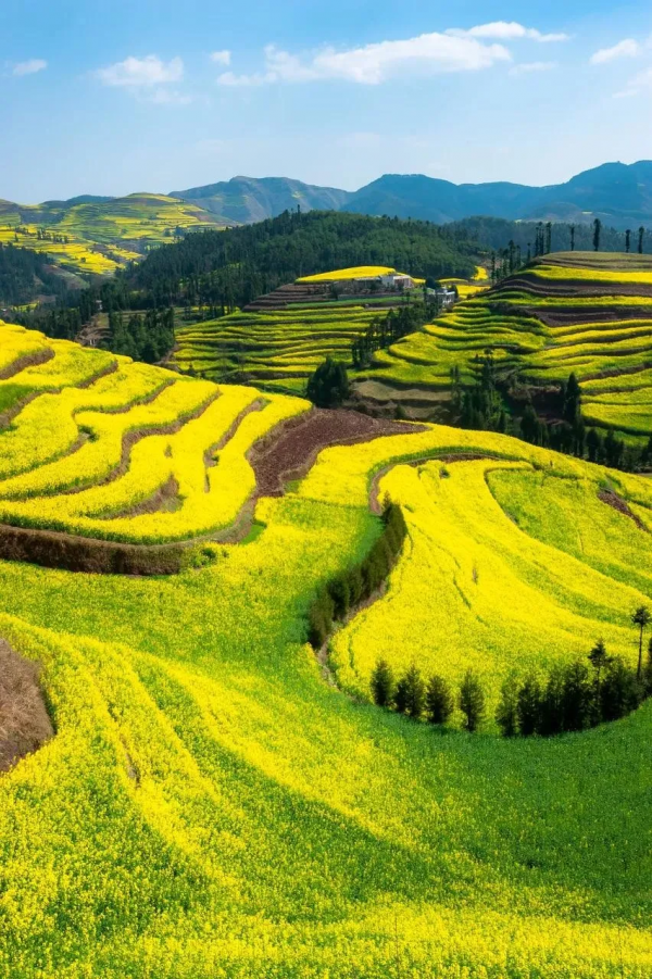 2022我要一個人去旅行