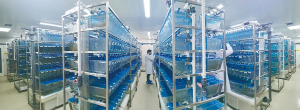 1條“小魚”，咋就成了研究產出全球第1