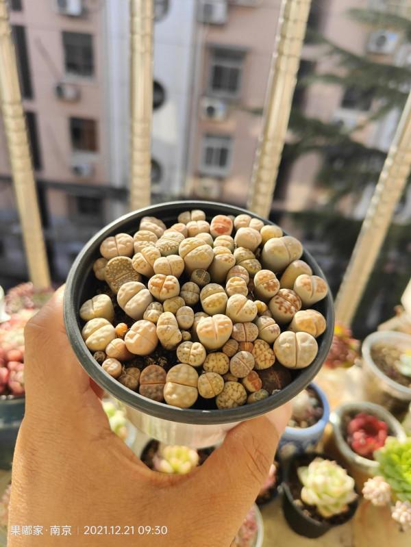 最近降溫，大家注意保暖哦