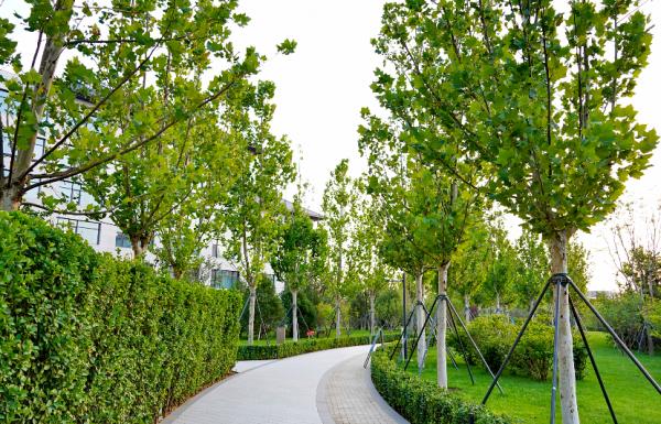 探店北京環球影城諾金酒店!房價接近三千元,一般人住不起 探店北京環球影城諾金酒店!房價接近三千元,一般人住不起