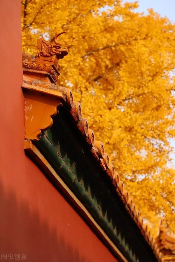 紫禁城記憶之14:皇家藥鋪之謎（話說北京之111）