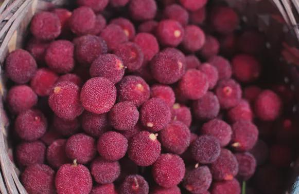 有什麼事，年後再說！冷門小眾年貨專題，一次安排7種