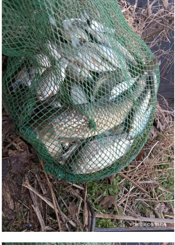 與大家分享冬釣鯽魚的個人心得，或許可以幫到你哦