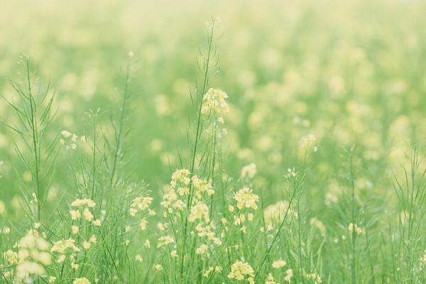 身體與靈魂,生活與文字,總有一個一直在路上 身體與靈魂,生活與文字,總有一個一直在路上