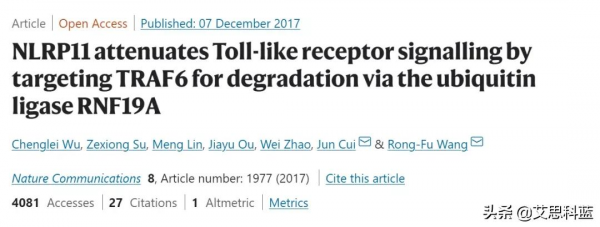 中山大學論文連遭質疑？論文一作僅對圖片造假回應