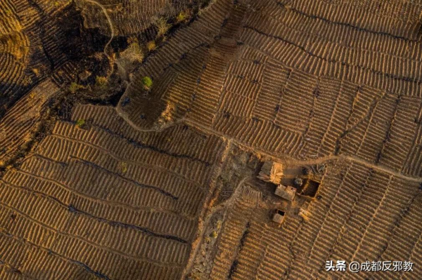 非洲菸農:被資本與菸葉綁架的一生 非洲菸農:被資本與菸葉綁架的一生