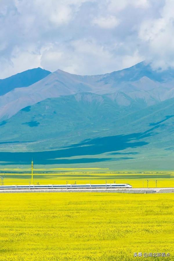 青海，你可以去100次