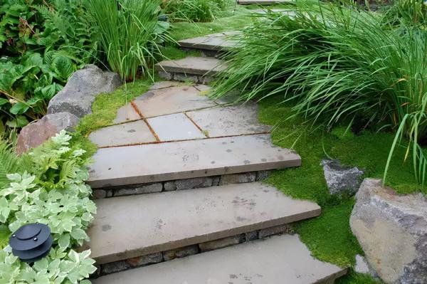 石頭縫裡這樣玩，它也可以成為庭院裡一道亮麗的景緻