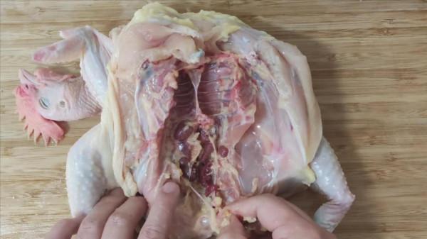 雞有8個地方毒素最重，不要亂吃，24年1級廚師講解雞不能吃的位置