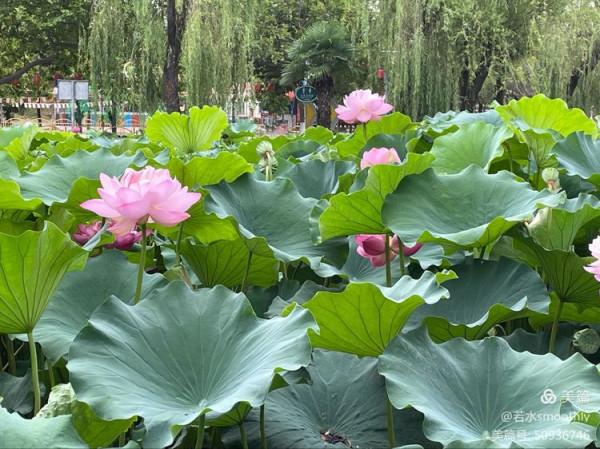 【五律•語遲則人貴】