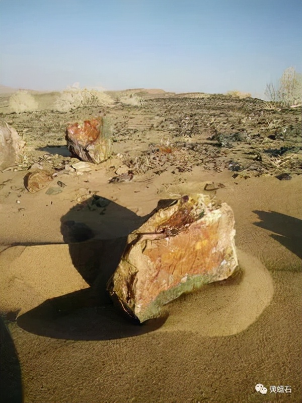 等疫情結束後，我們去撿石頭吧