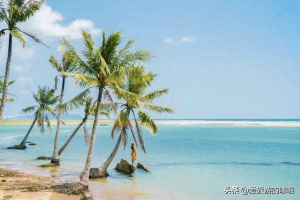 9分神片迴歸!中國人有多會吃海鮮?第一集就讓人邊流口水邊流淚 9分神片迴歸!中國人有多會吃海鮮?第一集就讓人邊流口水邊流淚
