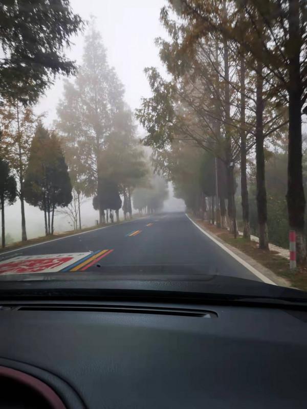 我的自駕遊體會(3) 我的自駕遊體會(3)