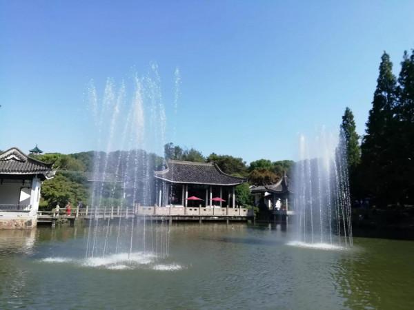 中秋佳節，百合花已盛開