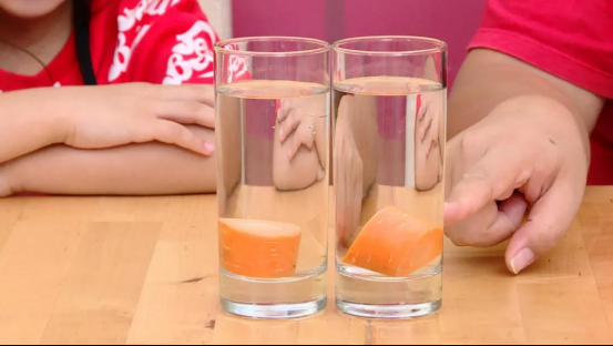 科普週刊第1期｜在家也能做的小實驗，簡單好玩漲知識