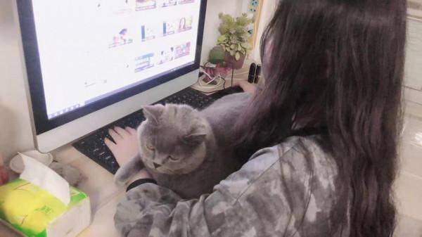 因為一個虐貓影片，我想聊聊我的工作和倒閉的收容所