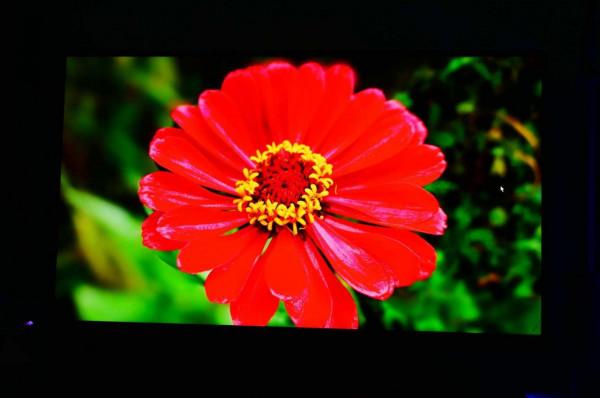 1299元就能買到27寸+2K+170Hz的電競顯示器？你沒看錯