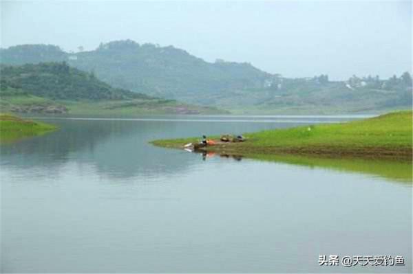 春釣鯽魚，記住5條核心技巧，釣大板鯽百戰百勝