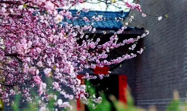 甘肅十大美麗鄉村，一個比一個美，看看你去過哪幾個？