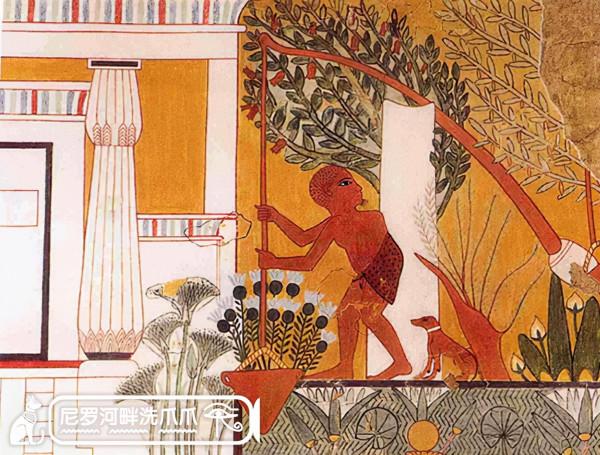 古埃及有錢人住的房子是什麼樣的? 古埃及有錢人住的房子是什麼樣的?