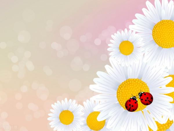 68歲大爺自述：人老了，找保姆，有兒女，都不如身邊有個伴