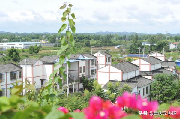 郭坡村的美好生活