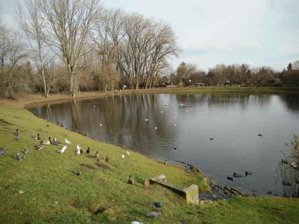 你知道不懂外語的退休夫婦是如何出國自由行的嗎?(續三) 你知道不懂外語的退休夫婦是如何出國自由行的嗎?(續三)