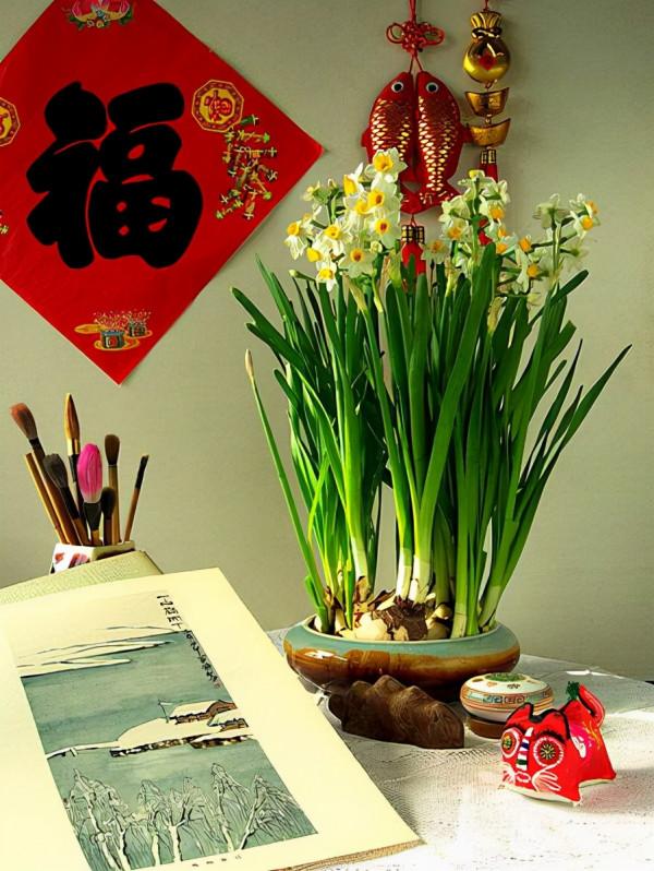 奶奶對我說，臥室別養7類花，仔細想一想，不是&OpenCurlyDoubleQuote;迷信&rdquo;是科學