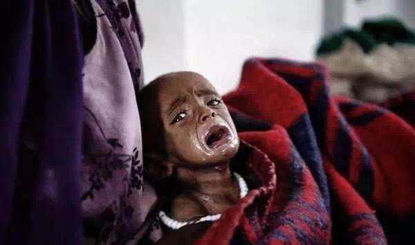 《事實》：大猩猩遠比你更能看清事實