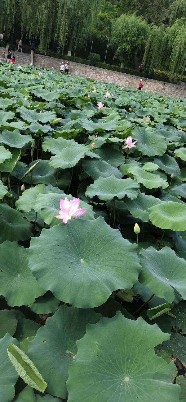 讓孩子學會道歉