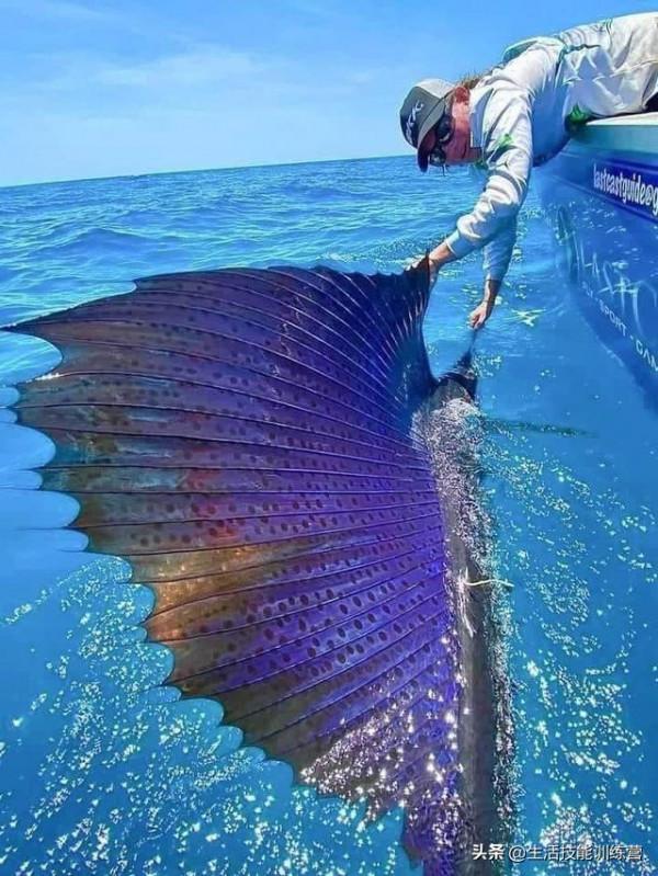 35張圖片帶我們領略大自然的狂野和美麗 35張圖片帶我們領略大自然的狂野和美麗